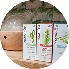 Aceites Esenciales Servicios Farmacia Santo Domingo Soria