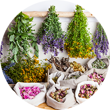 Fitoterapia Servicios Farmacia Santo Domingo Soria